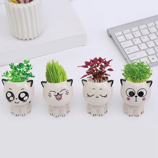 Ceramic Flowerpot Mini Cat Shaped Cartoon Cute Potted Plant Desktop Potted Expression Cat Plant Pot Desk Decorate Small Ornament
